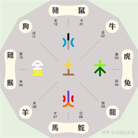 生肖的五行